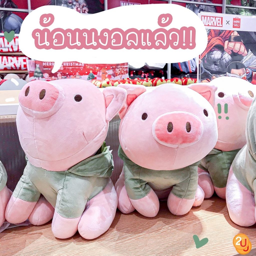 น้องหมูสุดคิ้วท์ คอลเลคชั่นใหม่ล่าสุดจาก Miniso