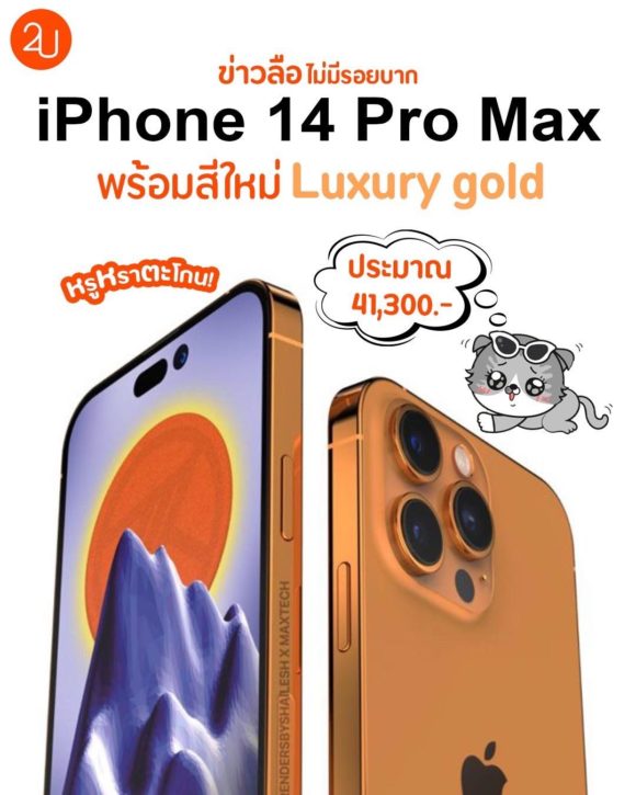 My Image 39