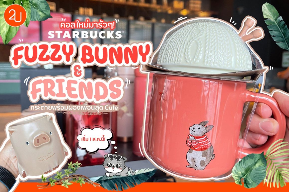 Starbucks คอลเลคชั่นใหม่! แก้วและทัมเบลอร์ลายกระต่ายและผองเพื่อน