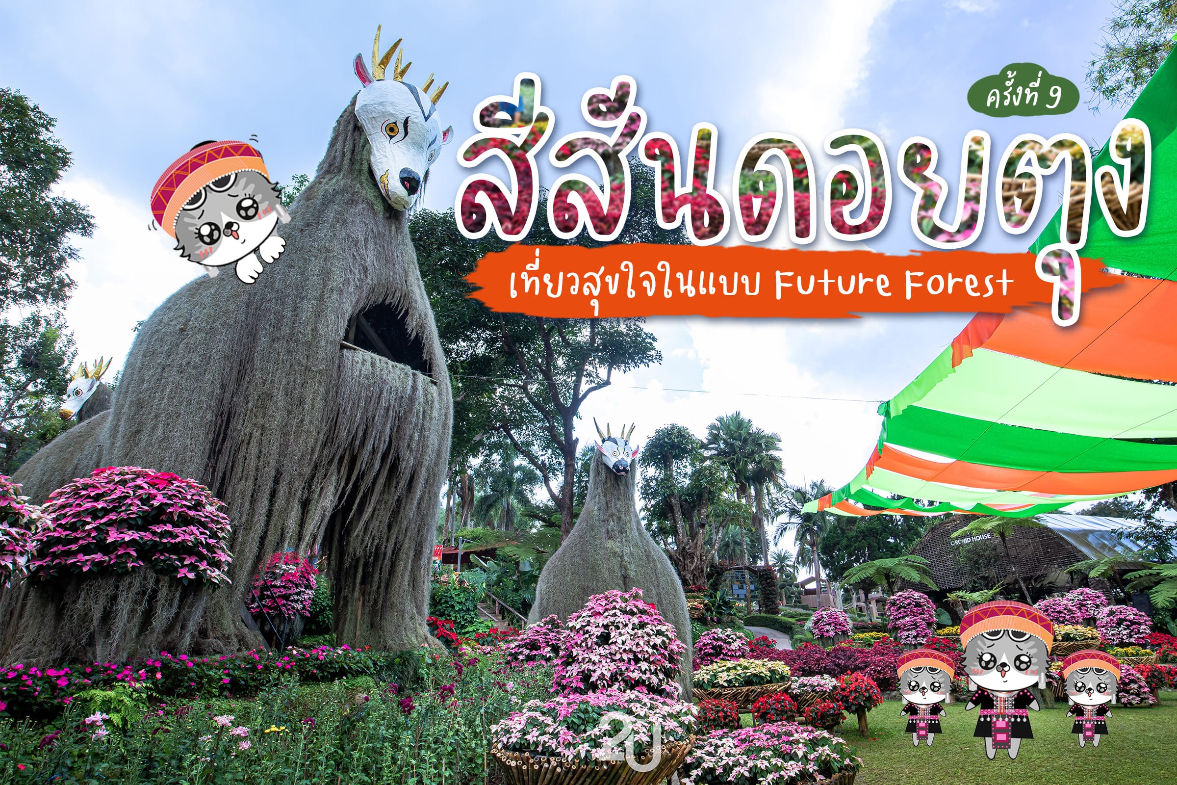 สีสันดอยตุง ครั้งที่ 9  เที่ยวสุขใจในแบบ “Future Forest” แอ่วเมืองเหนือ สัมผัสลมหนาว ทิวเขา และม่านหมอก