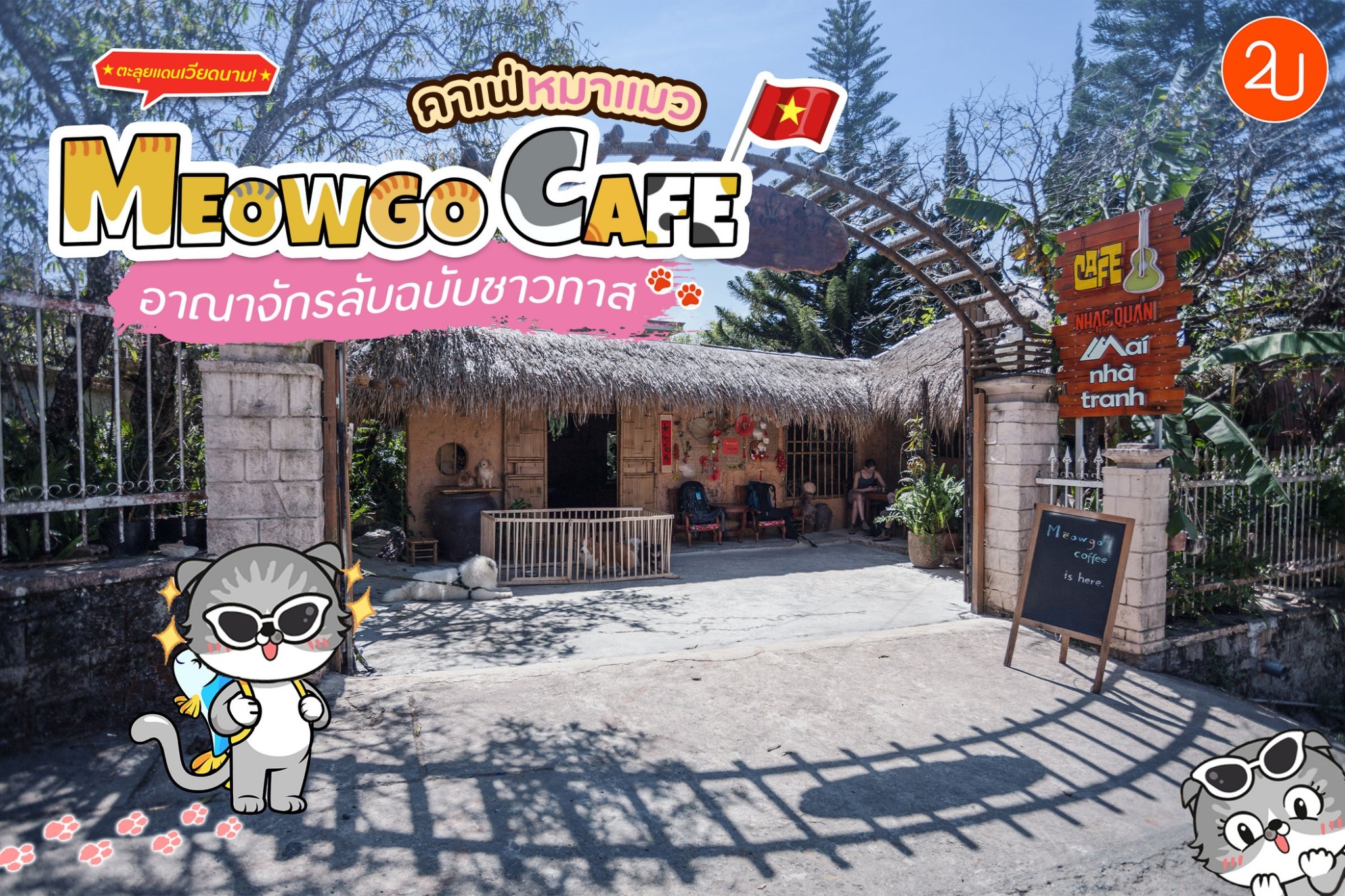“MeowGo Cafe” อาณาจักรแมวลับอินดาลัด!
